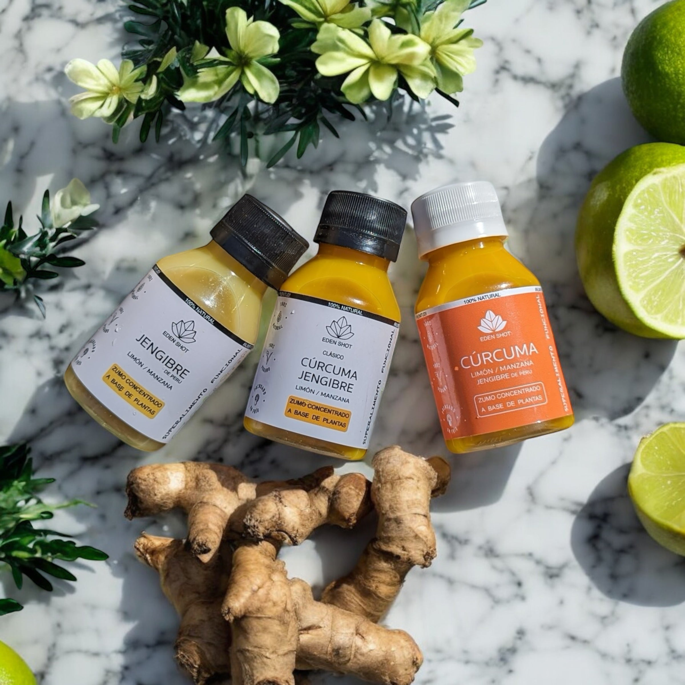 Pack Eden Shot MIX 20 Unidades - Shots naturales antiinflamatorios, mejora defensas, energizantes y revitalizantes